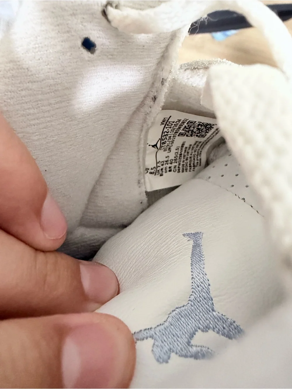 Jordan retro 3 white and blue